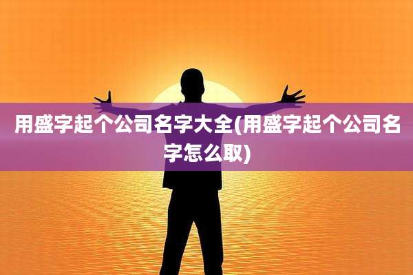 用盛字起个公司名字大全(用盛字起个公司名字怎么取)