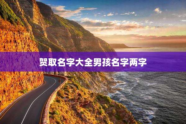 贺取名字大全男孩名字两字