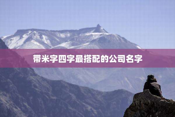 带米字四字最搭配的公司名字