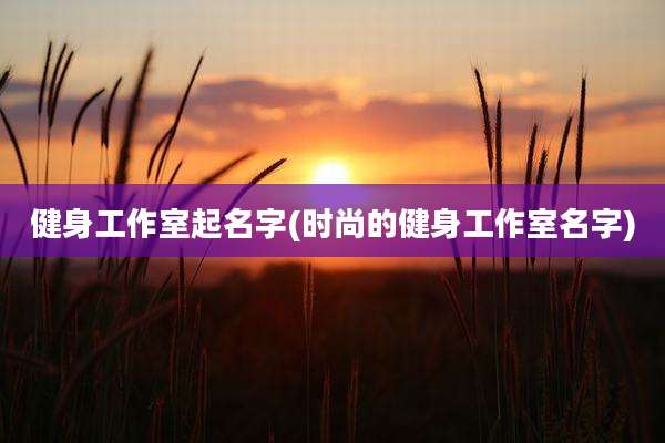 健身工作室起名字(时尚的健身工作室名字)