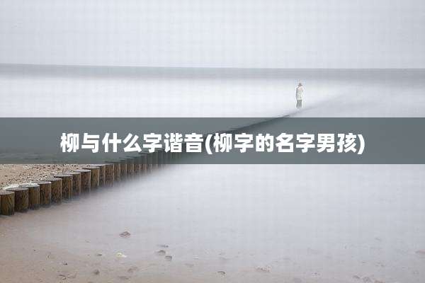 柳与什么字谐音(柳字的名字男孩)