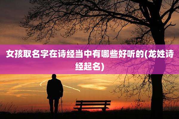 女孩取名字在诗经当中有哪些好听的(龙姓诗经起名)