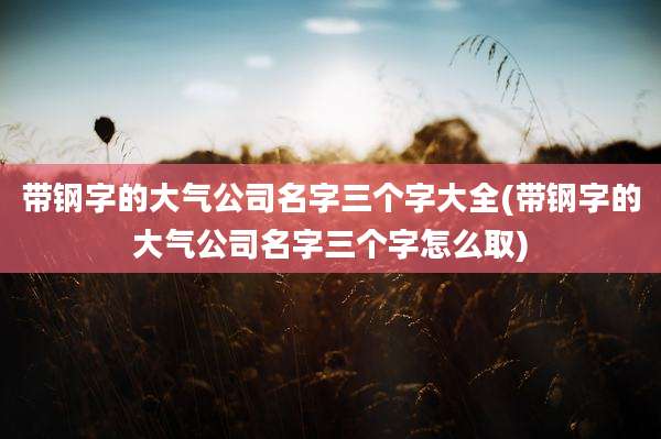 带钢字的大气公司名字三个字大全(带钢字的大气公司名字三个字怎么取)