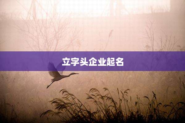 立字头企业起名