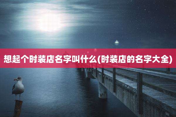 想起个时装店名字叫什么(时装店的名字大全)