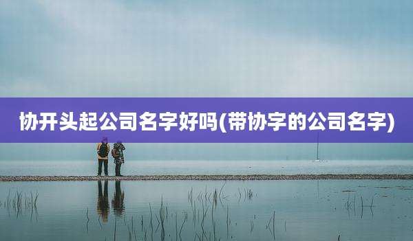 协开头起公司名字好吗(带协字的公司名字)