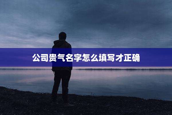 公司贵气名字怎么填写才正确