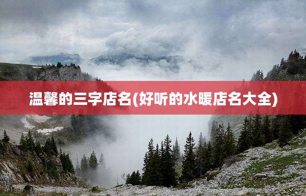 温馨的三字店名(好听的水暖店名大全)