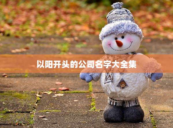 以阳开头的公司名字大全集