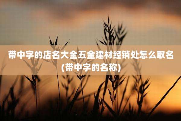 带中字的店名大全五金建材经销处怎么取名(带中字的名称)