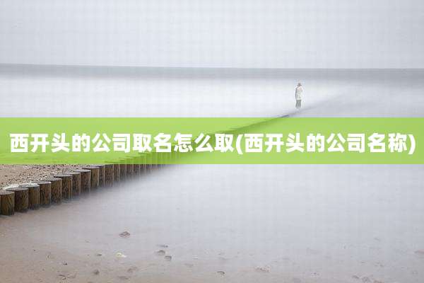 西开头的公司取名怎么取(西开头的公司名称)