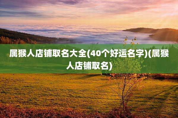 属猴人店铺取名大全(40个好运名字)(属猴人店铺取名)
