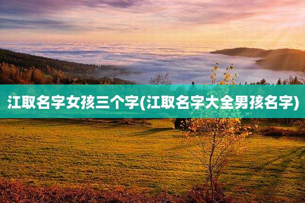 江取名字女孩三个字(江取名字大全男孩名字)