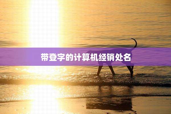 带登字的计算机经销处名