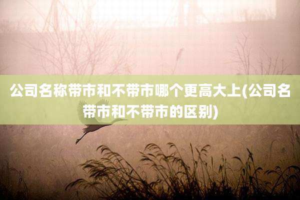 公司名称带市和不带市哪个更高大上(公司名带市和不带市的区别)