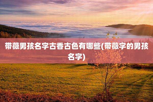 带薇男孩名字古香古色有哪些(带薇字的男孩名字)