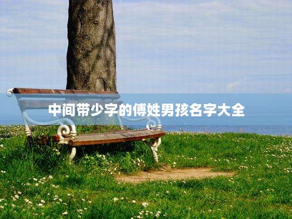 中间带少字的傅姓男孩名字大全