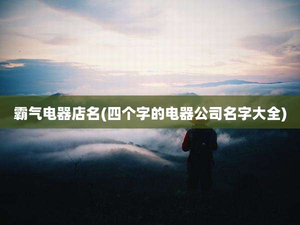 霸气电器店名(四个字的电器公司名字大全)