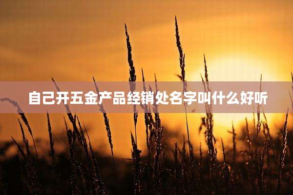 自己开五金产品经销处名字叫什么好听