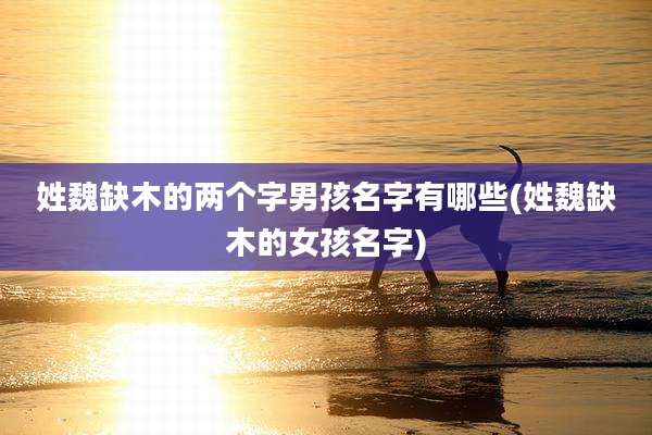 姓魏缺木的两个字男孩名字有哪些(姓魏缺木的女孩名字)