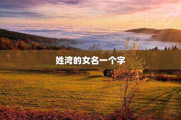 姓湾的女名一个字