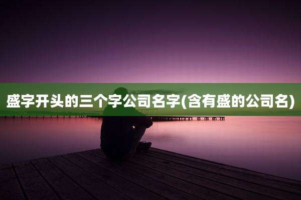 盛字开头的三个字公司名字(含有盛的公司名)