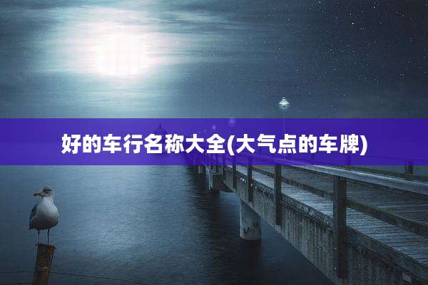 好的车行名称大全(大气点的车牌)