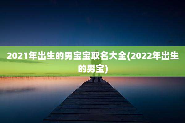 2021年出生的男宝宝取名大全(2022年出生的男宝)