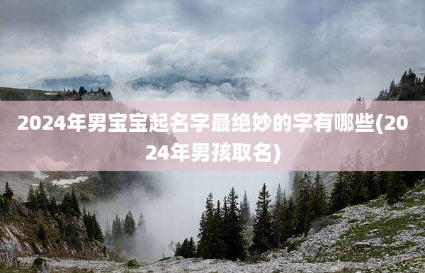 2024年男宝宝起名字最绝妙的字有哪些(2024年男孩取名)
