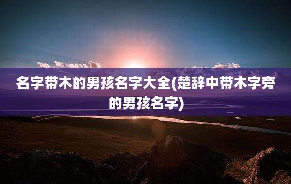 名字带木的男孩名字大全(楚辞中带木字旁的男孩名字)