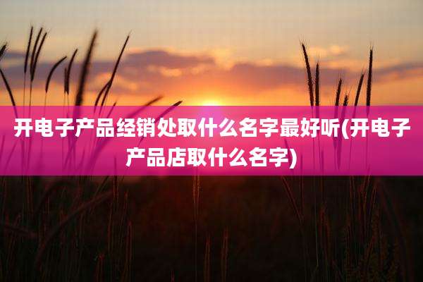开电子产品经销处取什么名字最好听(开电子产品店取什么名字)