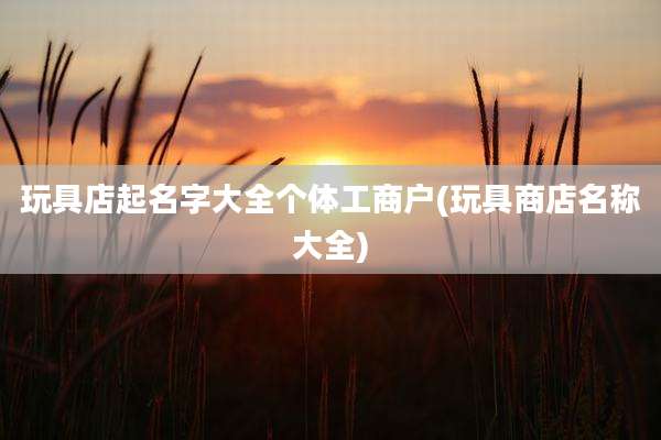 玩具店起名字大全个体工商户(玩具商店名称大全)