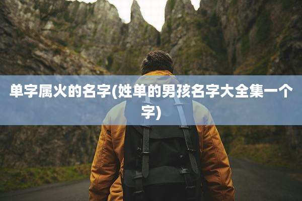 单字属火的名字(姓单的男孩名字大全集一个字)