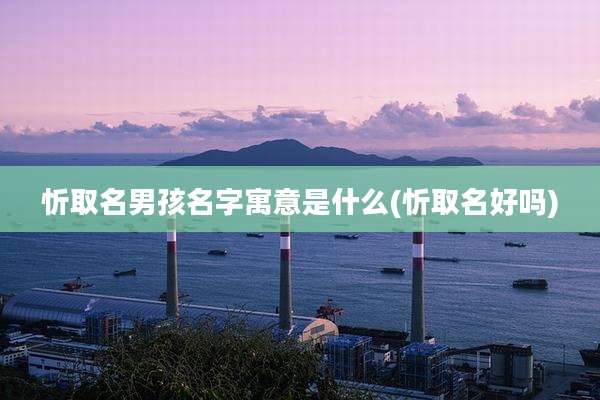 忻取名男孩名字寓意是什么(忻取名好吗)