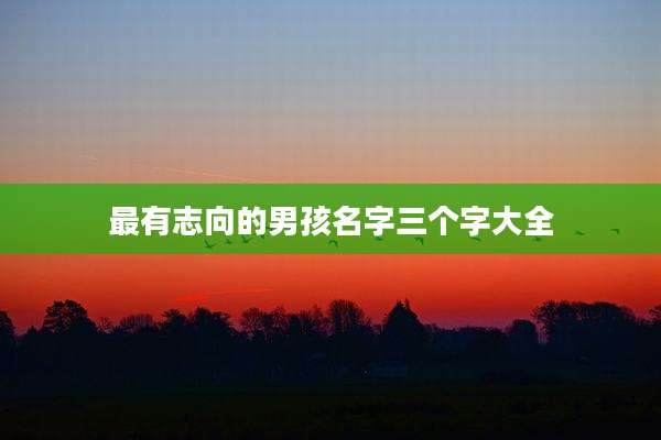 最有志向的男孩名字三个字大全