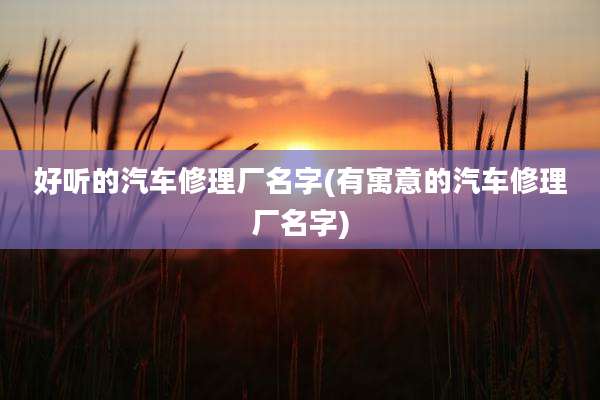 好听的汽车修理厂名字(有寓意的汽车修理厂名字)