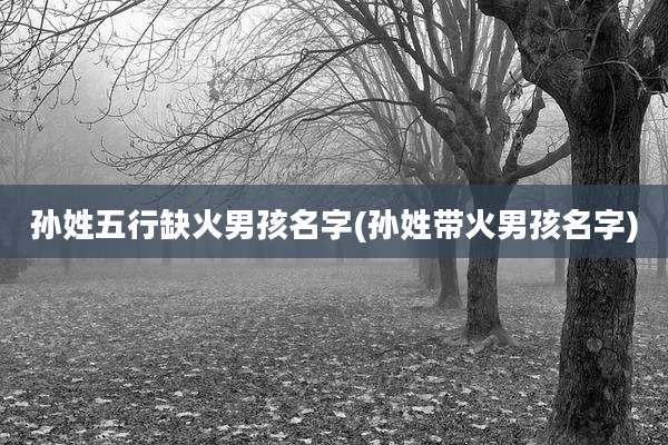 孙姓五行缺火男孩名字(孙姓带火男孩名字)