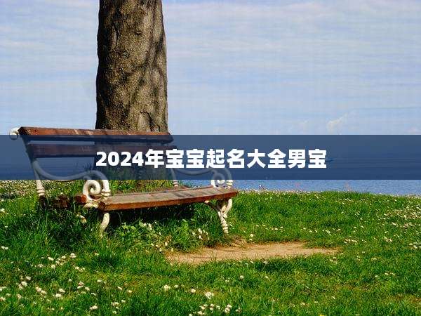 2024年宝宝起名大全男宝