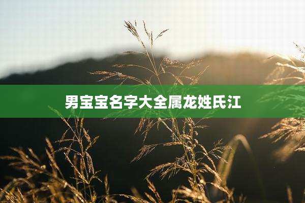 男宝宝名字大全属龙姓氏江