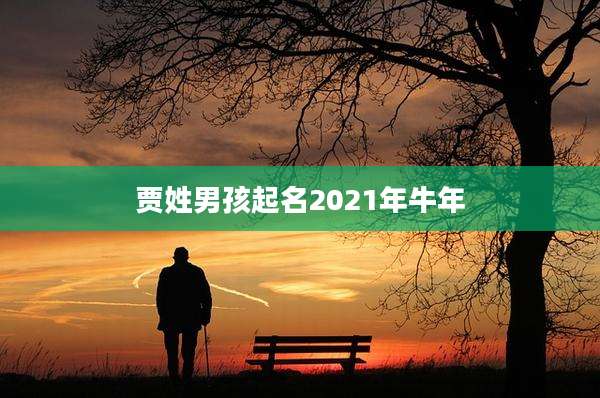 贾姓男孩起名2021年牛年