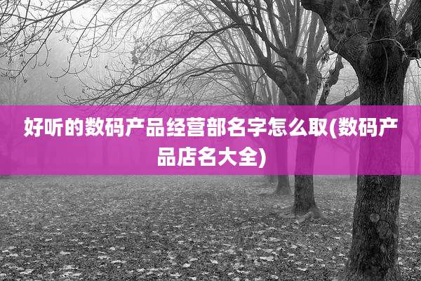 好听的数码产品经营部名字怎么取(数码产品店名大全)