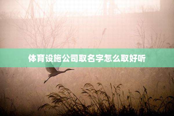 体育设施公司取名字怎么取好听
