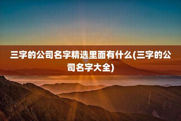 三字的公司名字精选里面有什么(三字的公司名字大全)