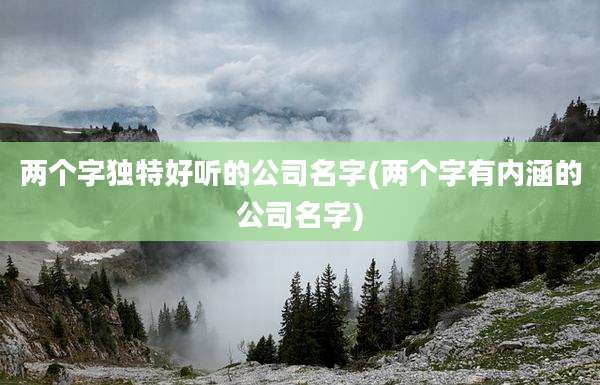 两个字独特好听的公司名字(两个字有内涵的公司名字)