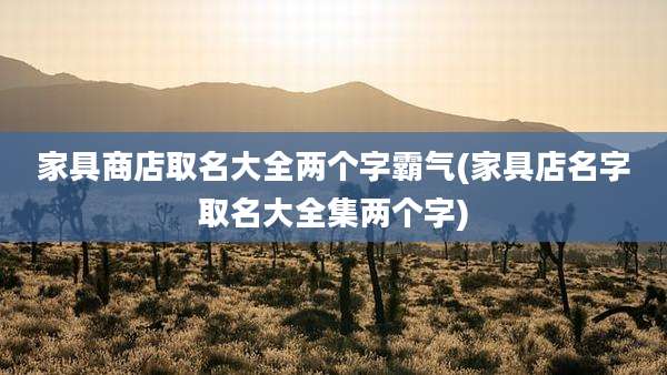 家具商店取名大全两个字霸气(家具店名字取名大全集两个字)