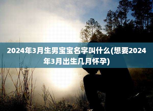 2024年3月生男宝宝名字叫什么(想要2024年3月出生几月怀孕)