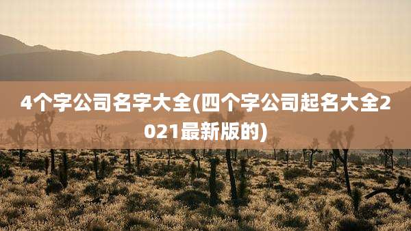 4个字公司名字大全(四个字公司起名大全2021最新版的)