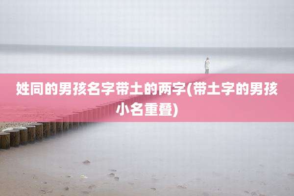姓同的男孩名字带土的两字(带土字的男孩小名重叠)