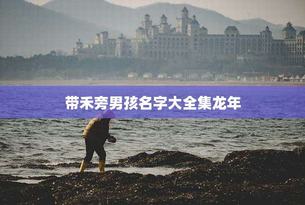 带禾旁男孩名字大全集龙年