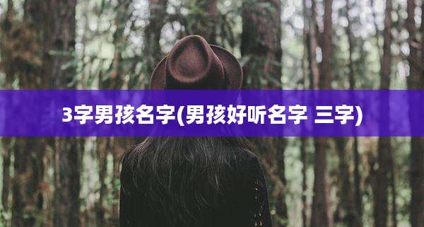 3字男孩名字(男孩好听名字 三字)
